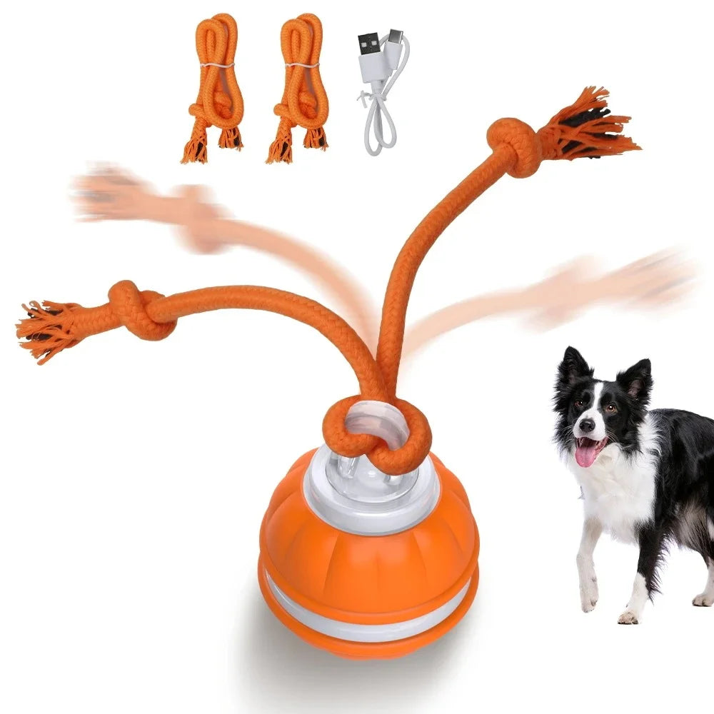 Motion Activated Smart Dog Toy