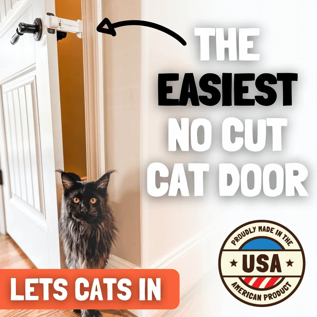 Cat Door Prop