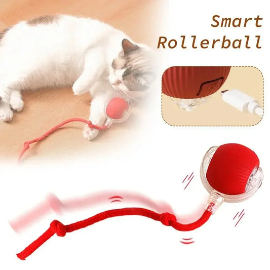 Interactive Birdsong Cat Rolling Ball