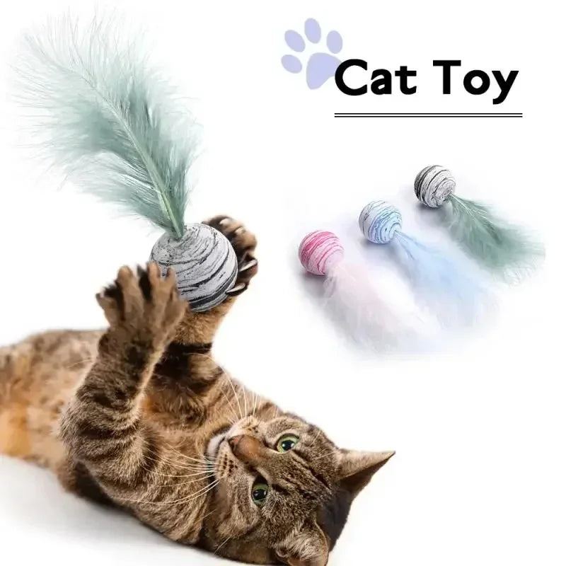 Feather Ball Interactive Push Toys