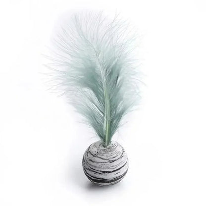 Feather Ball Interactive Push Toys