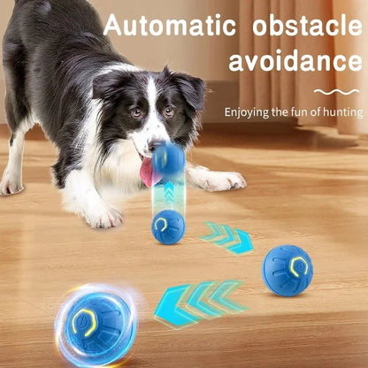 Smart Toy Ball For Dogs