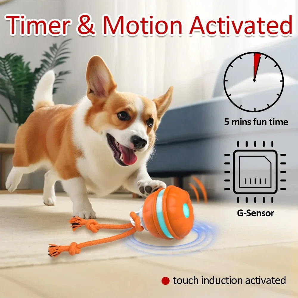 Motion Activated Smart Dog Toy