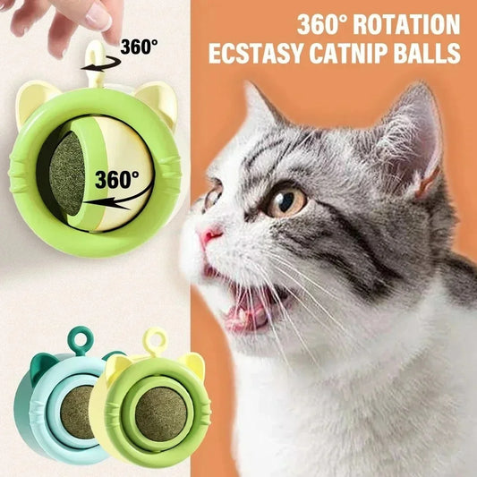 Teeth Grinding Cat Toys