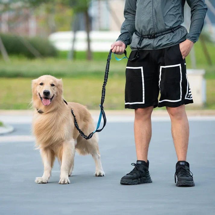 PawsFree Leash