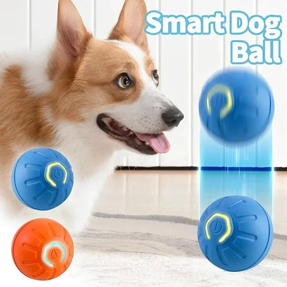 Smart Toy Ball For Dogs