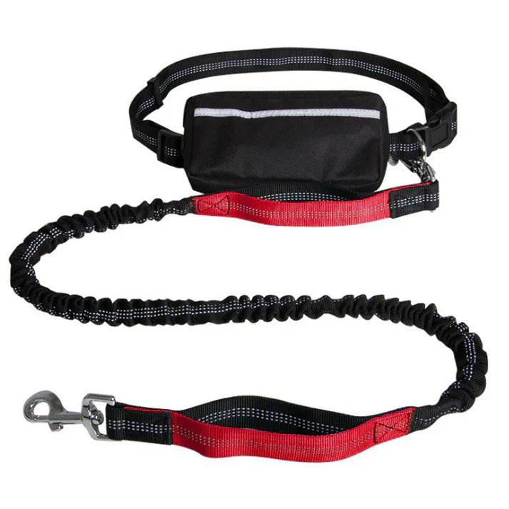 PawsFree Leash