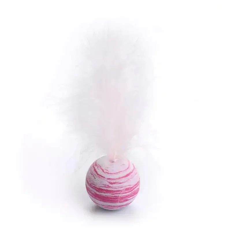 Feather Ball Interactive Push Toys