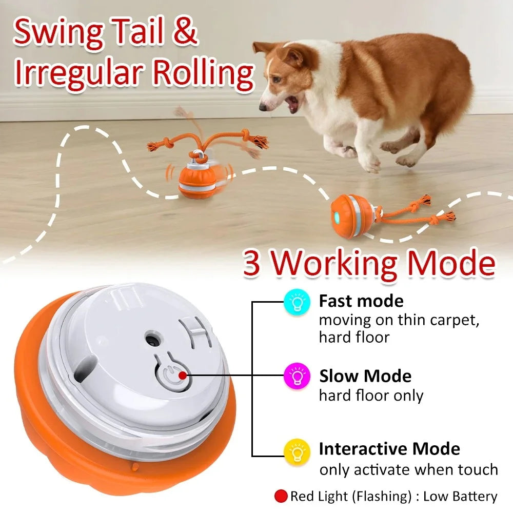 Motion Activated Smart Dog Toy