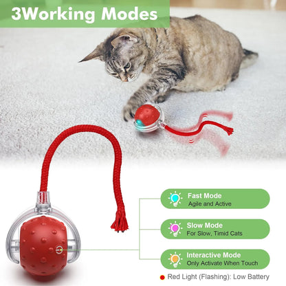 Interactive Cat Ball Toy