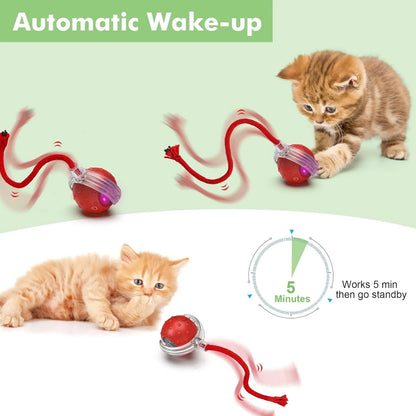 Interactive Cat Ball Toy