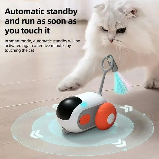 Smart Car Interactive Cat Toy