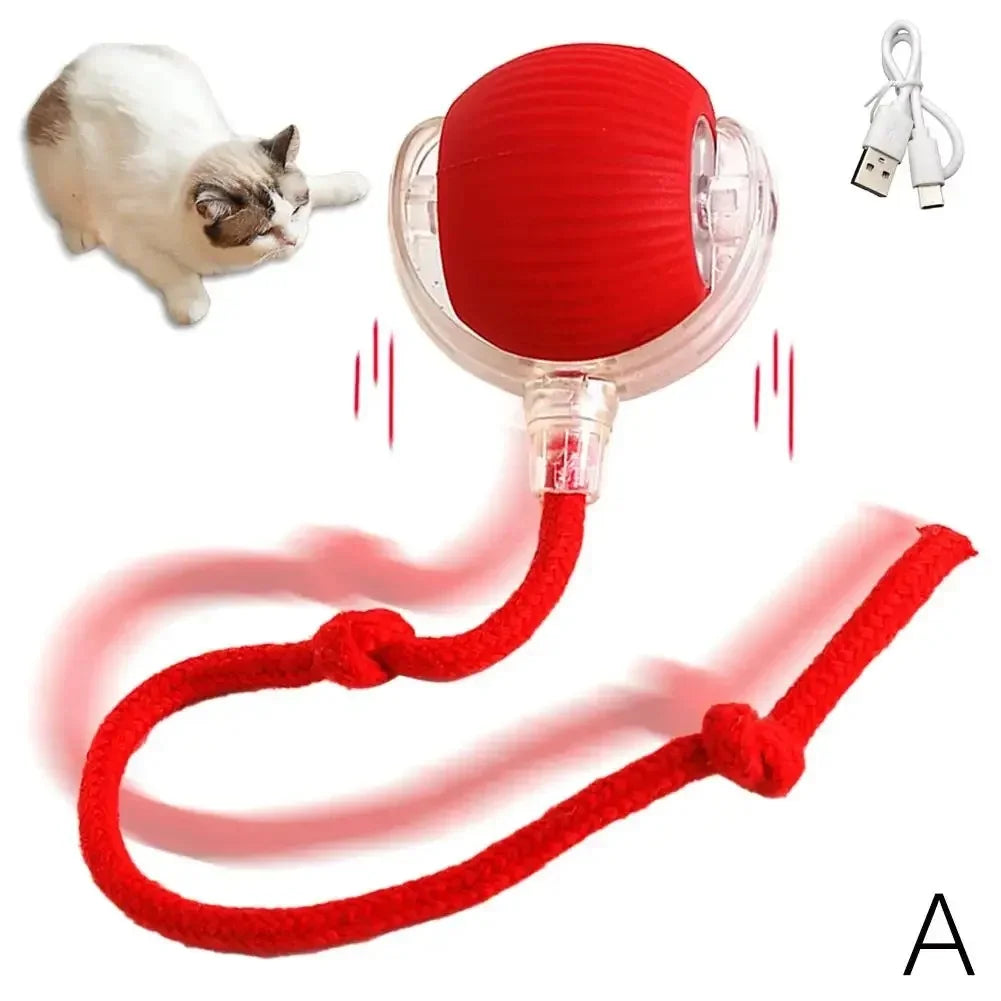 Interactive Birdsong Cat Rolling Ball